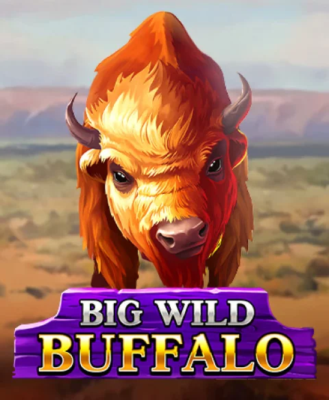 Play Big Wild Buffalo at Bet Winner Casino